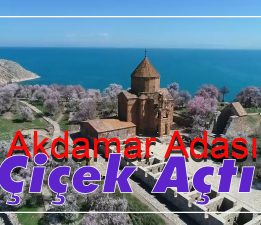 AKDAMAR ADASI ÇİÇEK AÇTI
