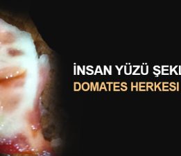 İNSAN YÜZÜ ŞEKLİNDEKİ DOMATES HERKESI ŞAŞIRTTI!