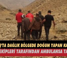 GEVAŞ’TA DAĞLIK BÖLGEDE DOĞUM YAPAN KADIN UMKE EKİPLERİ TARAFINDAN AMBULANSA TAŞINDI