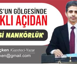 ‘SİYASİ NANKÖRLÜK’