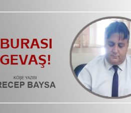 BURASI GEVAŞ!