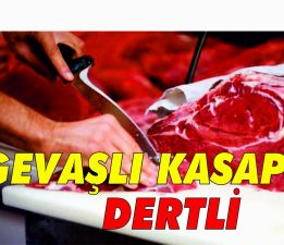 GEVAŞLI KASAPLAR DERTLİ