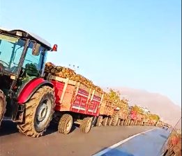 GEVAŞ AKDAMAR ŞEKER PANCARI KANTARI’NDA SORUNLAR ÇİFTÇİLERİ MAĞDUR EDİYOR