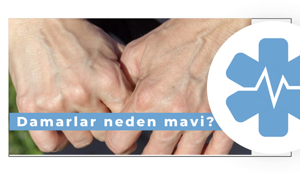 Damarlar neden mavi?