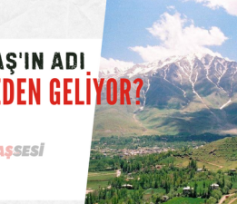 GEVAŞ’IN ADI NEREDEN GELİYOR?