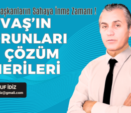 Şimdi Başkanların Sahaya İnme Zamanı! Gevaş’ın Sorunları ve Çözüm Önerileri