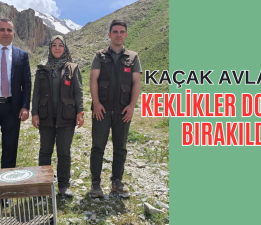 Gevaş Kaymakam Yıldız’dan Doğa Koruma ve Milli Parklar İlçe Şefliğine Ziyaret